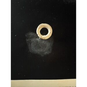 Rare Sumerian Shell Money from 3,000 BC